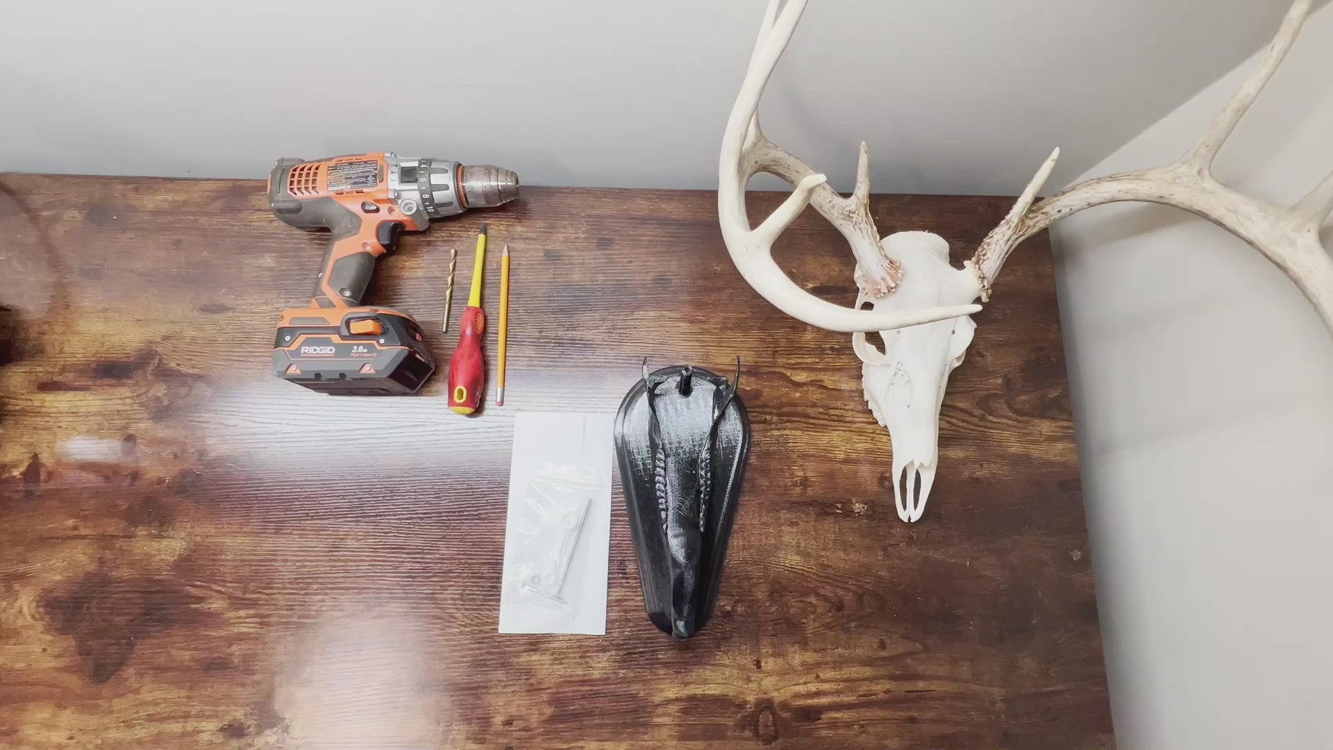 Load video: whitetail deer European skull mount kit full installation video