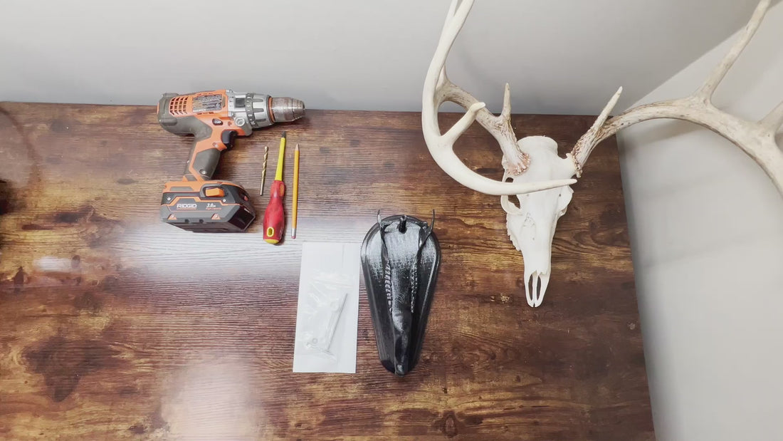 whitetail deer European skull mount kit full installation video