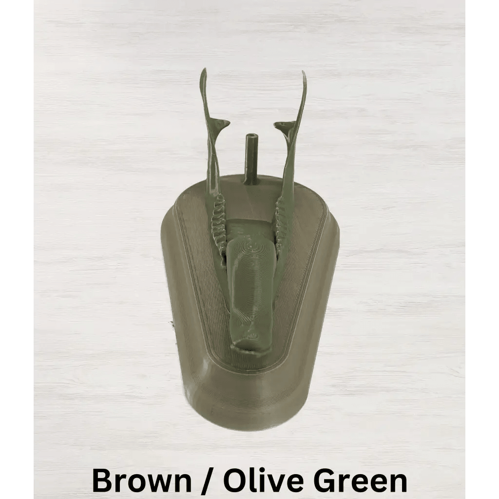 Whitetail Deer European Mount - Brown Uniform / Olive Green