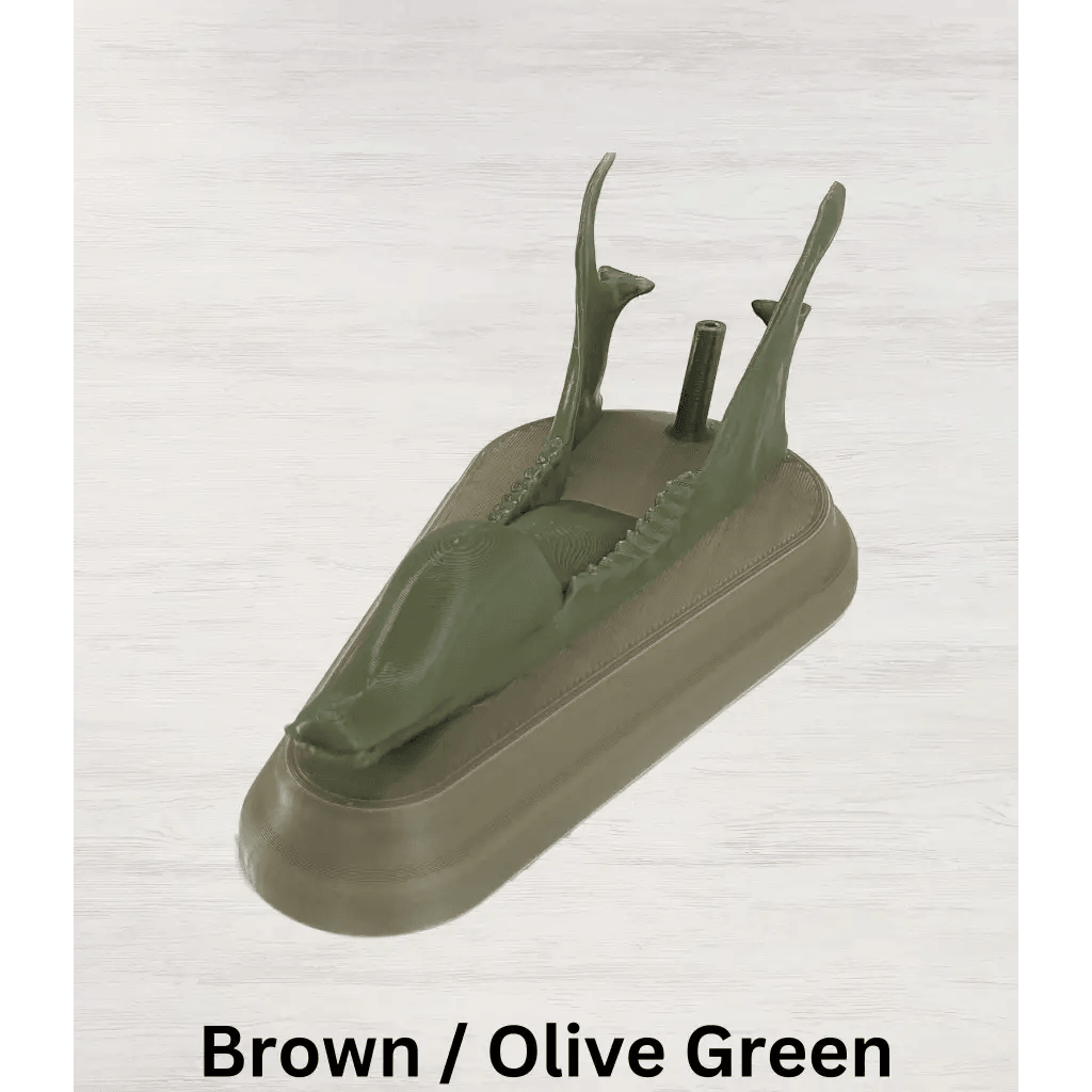 Whitetail Deer European Mount - Brown Uniform / Olive Green