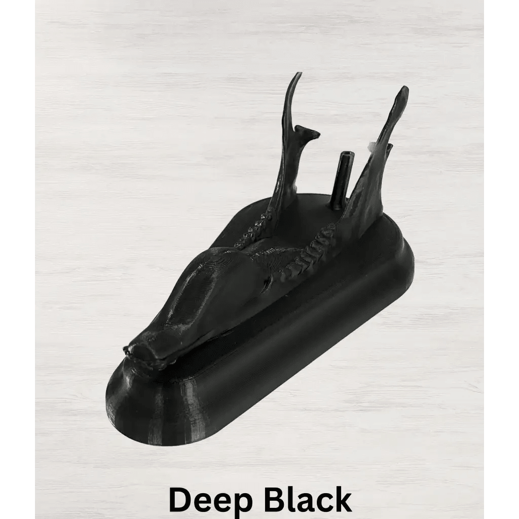 Whitetail Deer European Mount - Deep Black - 10 3/4L x 5