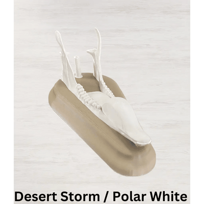 Whitetail Deer European Mount - Desert Storm / Polar White -