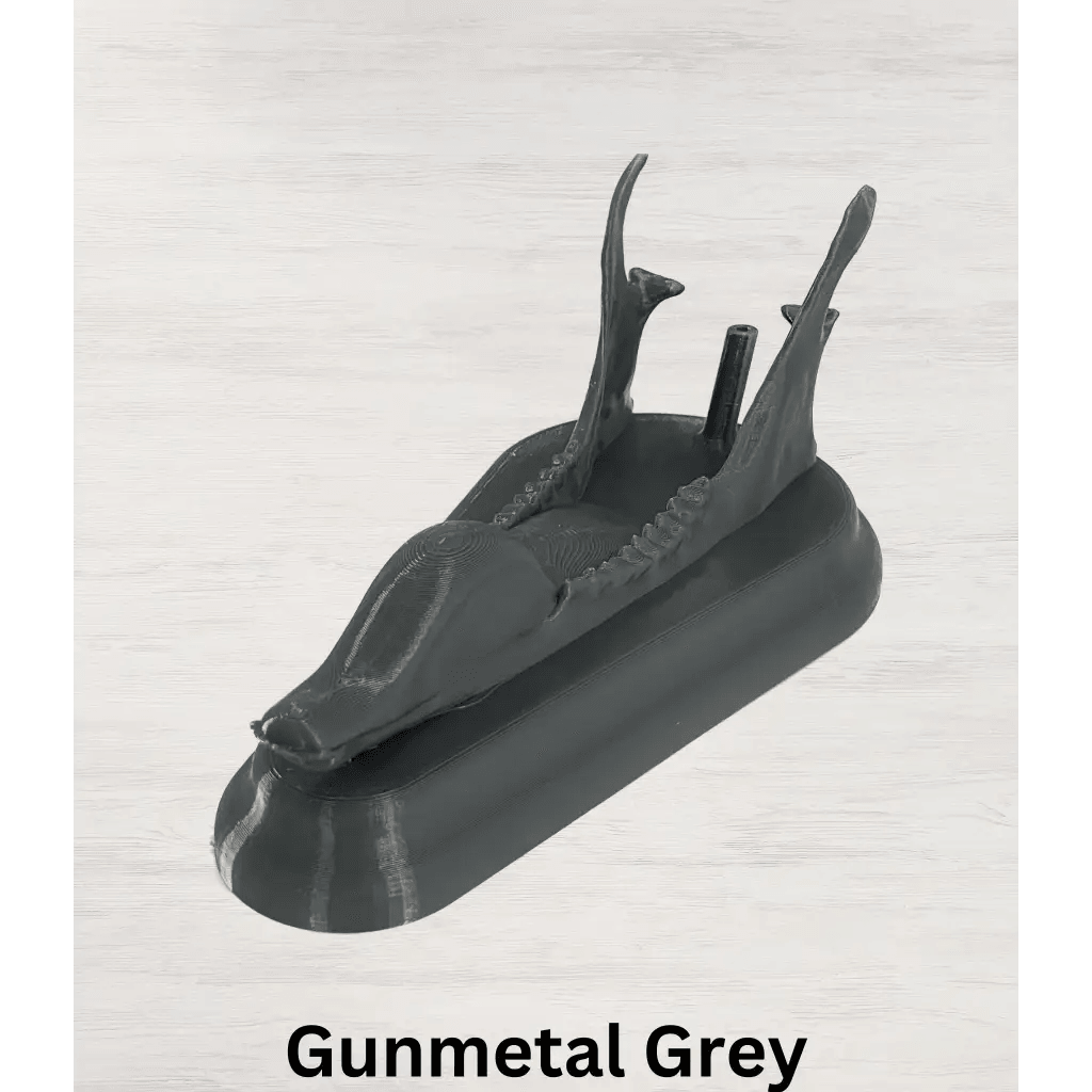 Whitetail Deer European Mount - Gunmetal Grey (Limited QTY)