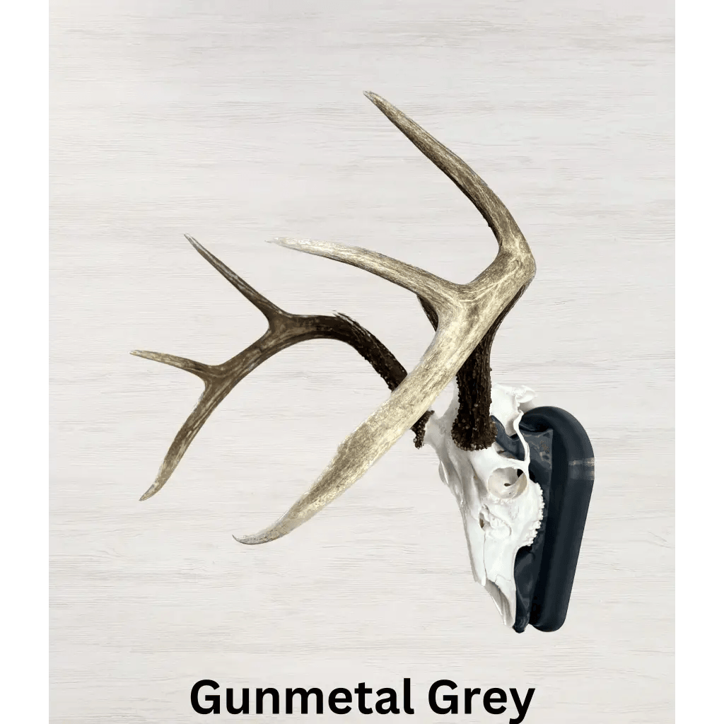 Whitetail Deer European Mount - Gunmetal Grey (Limited QTY)