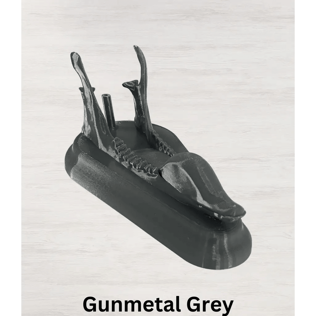 Whitetail Deer European Mount - Gunmetal Grey (Limited QTY)