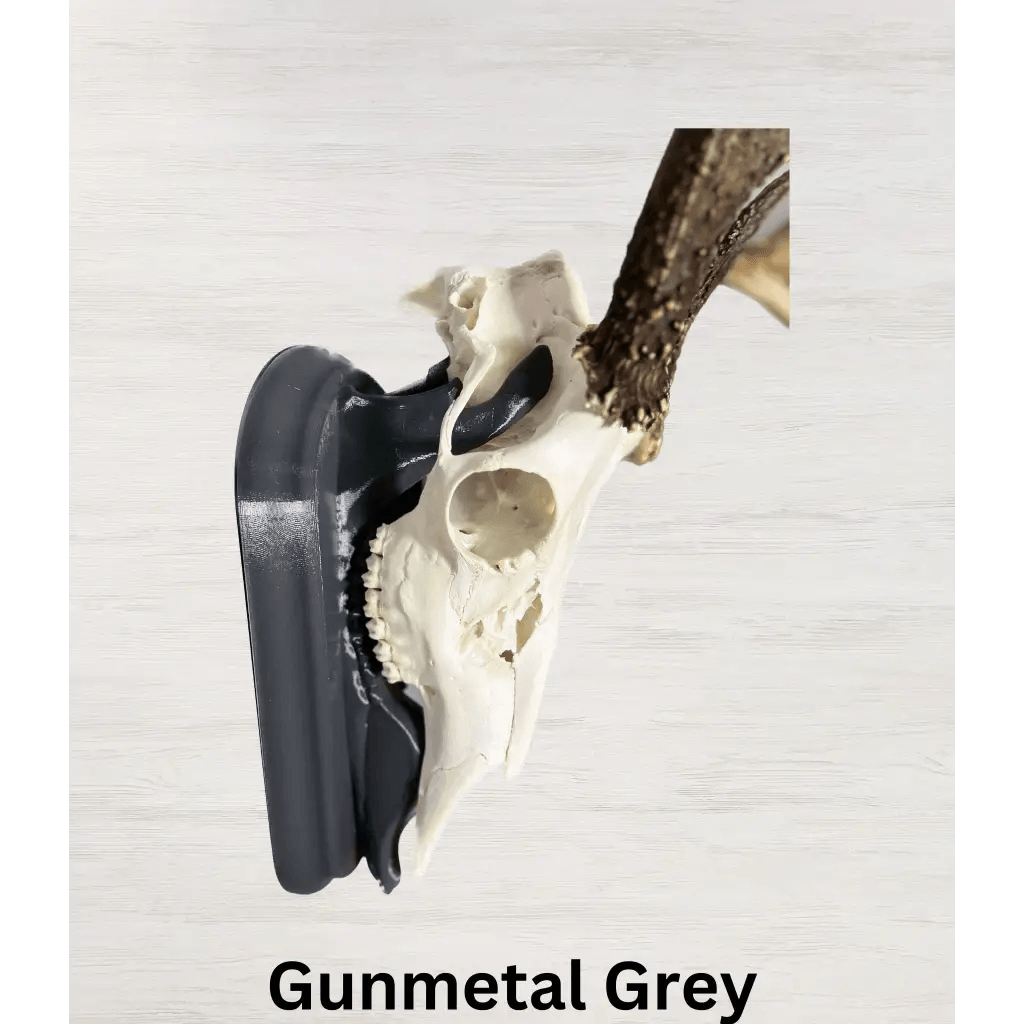 Whitetail Deer European Mount - Gunmetal Grey (Limited QTY)