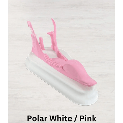 Whitetail Deer European Mount - Polar White/Pink - 10 3/4L x