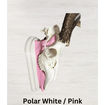 Whitetail Deer European Mount - Polar White/Pink - 10 3/4L x